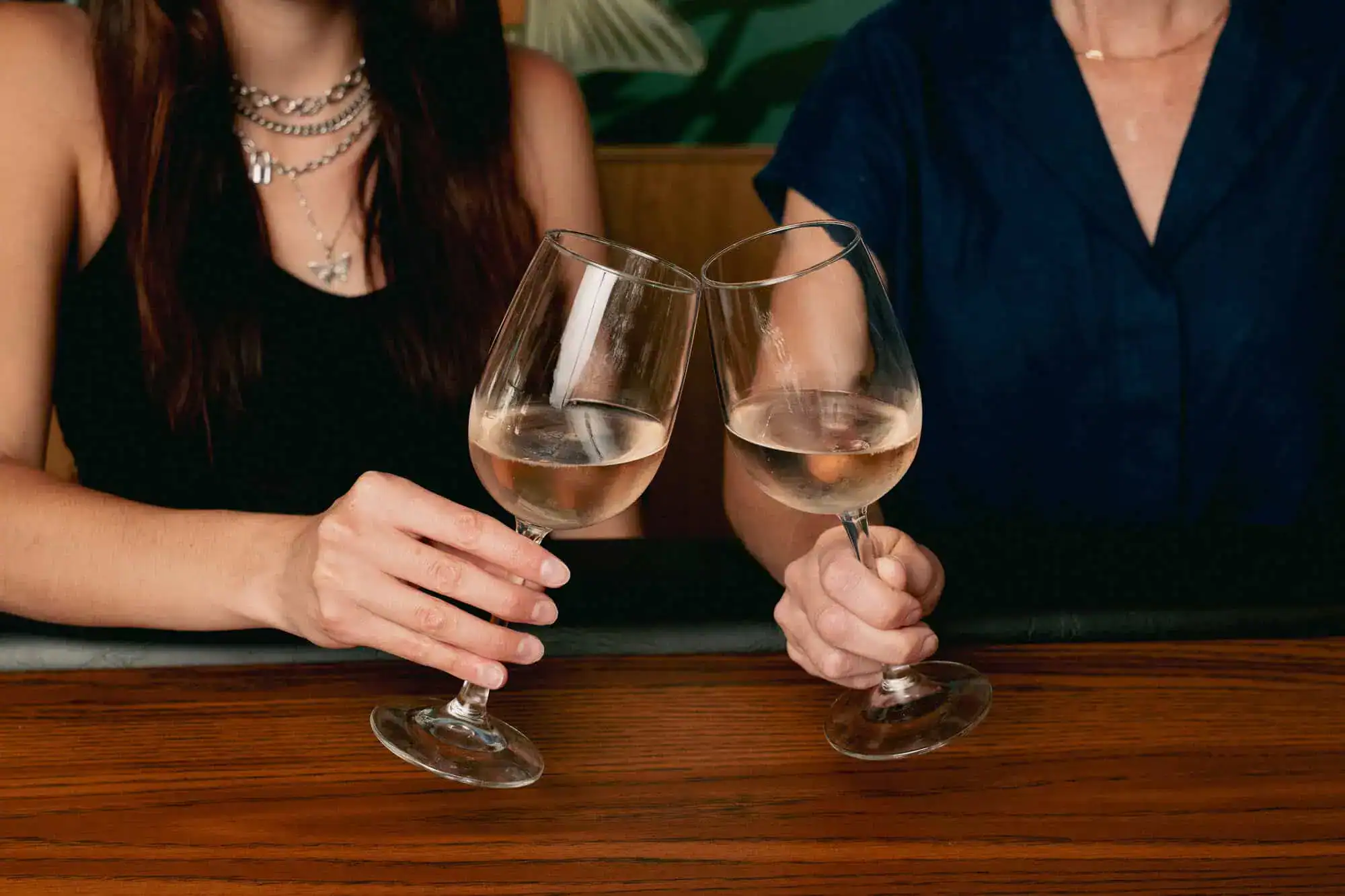 Two women clinking wine glasses at Bill's Bait Shop.